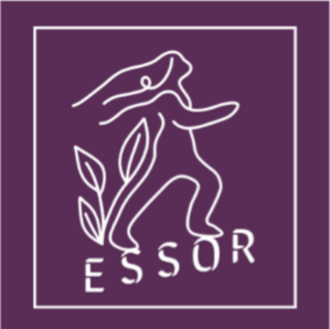Logo du projet ESSOR